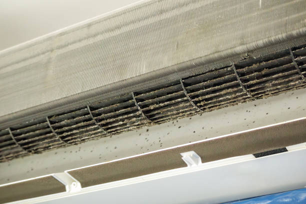 Best HVAC Air Duct Cleaning  in Greenwood Lake, NY