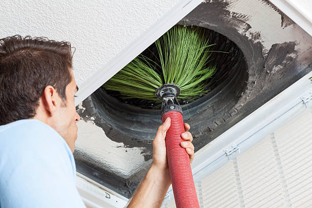 Best Air Duct Mold Removal  in Greenwood Lake, NY